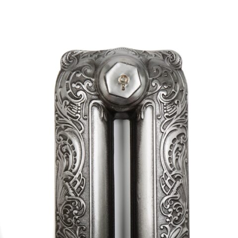 Polished cast iron radiator