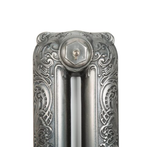 Polished cast iron radiator