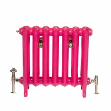 Princess 2 column cast iron radiator with radiator accessories