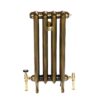 Princess 2 column cast iron radiator with polished brass radiator valves